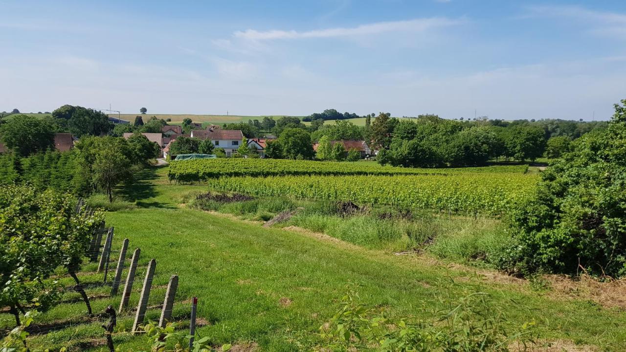 Apartmán Haus Rebenblick Dierbach Exteriér fotografie